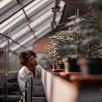 Cultivateur observant des plantes de cannabis en serre intérieure
