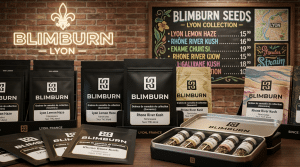 Collection Blimburn Seeds avec sachets et contenants de graines de cannabis dans un décor inspiré de Lyon.