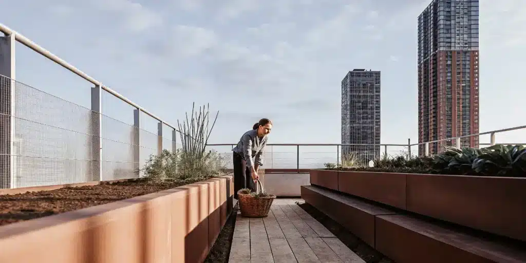 femme récoltant des légumes dans un potager urbain installé sur un toit d’immeuble