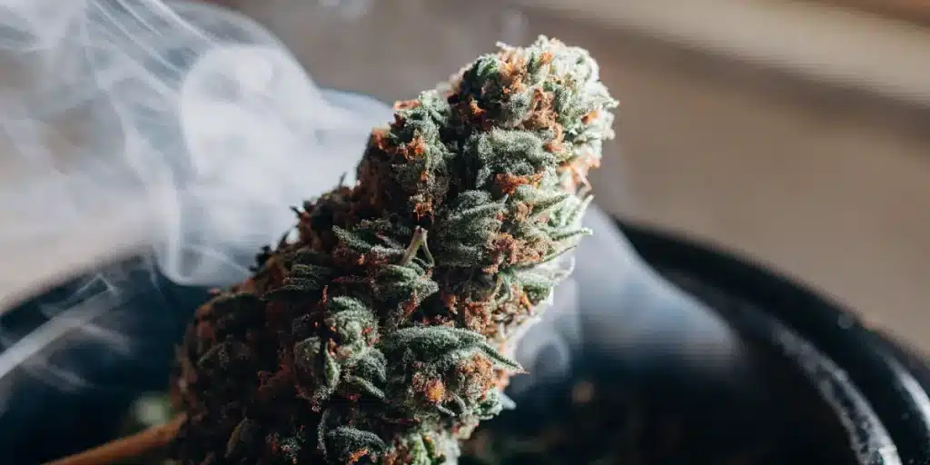gros plan sur un bourgeon de cannabis avec fumée et trichomes visibles