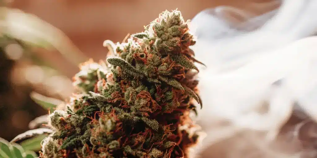 fleur de cannabis en gros plan avec fumée mettant en avant les arômes
